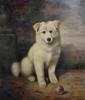 Lilian Cheviot  1876-1936   A samoyed puppy with a ball