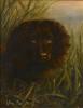 Lilian Cheviot  1876-1936   A water spaniel among reeds