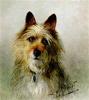 Lilian Cheviot   An australian terrier