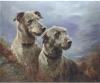 Lilian Cheviot  1876-1936   Deer hounds