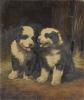 Lilian Cheviot  1876-1936   Old english sheepdog puppies