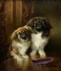 Lilian Cheviot  1876-1936  Toto and togo