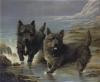 Lilian Cheviot   1876-1936   Two cairn terriers on the shore