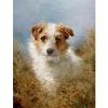 Lilian Cheviot   Wire haired fox terrier