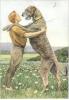 Louis-Agassiz Fuertes    Irish wolfhound    1910
