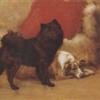 Maud Earl a black chow and a collie