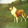 Maud Earl a collie in a landscape 1899
