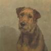 Maud Earl a terrier