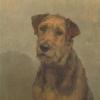 Maud Earl a terrier