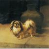 Maud Earl champion yen chu 1910