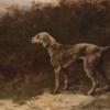 Maud Earl clyde boy a beddington terrier 1899