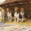 Maud Earl dogs in a kennel