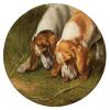 Maud Earl fox hounds