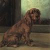 Maud Earl michael a golden cocker spaniel 1920