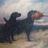 Maud Earl portrait of the black labrador peter of faskally holding a cock pheasant with his mate dungavel