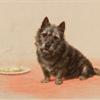 Maud Earl suppertime a scottish terrier 1904