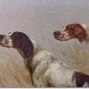 Maud Earl two pointers high scent