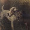 Maud Earl two sealyham dogs 1895