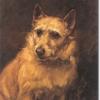 Maud Earl 1895 early norwich terrier