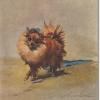 Minature pomeranian by Maud Earl