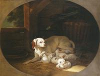 Jean-Baptiste Oudry lice avec ses chiots
