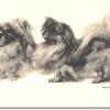 Pekingese by Maud Earl