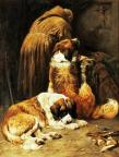 John Emms 1844-1912 Saint-Bernard