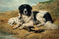 John Emms 1844-1912