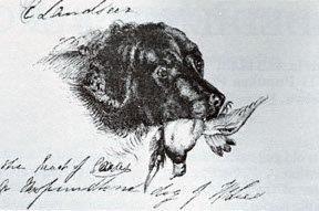 Caesar new foundland dog. Sir Edwin Lanseer 1852