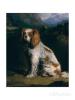 Philip Reinagle a king Charles spaniel