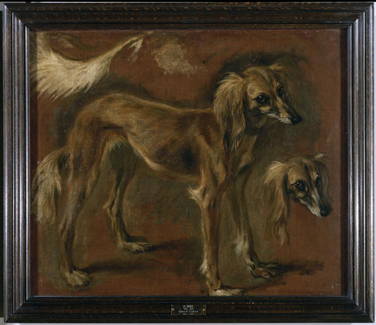 Pieter  Boel  1622-1674  Musée du Louvre