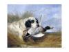 Richard Ansdell 1815-1885  Dog with wild duck