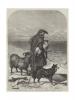 Richard Ansdell  The highland shepherd