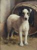 Samuel Fulton    1855-1944     A fox terrier in front of a kennel