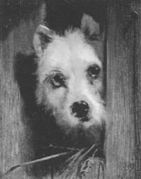 Sir edwin henry landseer a cairn terrier