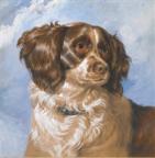 Sir edwin henry landseer dash