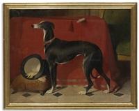 Sir edwin henry landseer the greyhound Eos