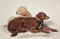 Sir edwin landseer english water spaniel