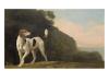 Georges Stubbs a foxhound 1760