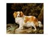 georges Stubbs a liver and white king Charles spaniel in a wooded landscape 1776