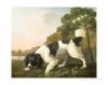 Georges Stubbs a spaniel in a landscape 1771