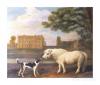 Georges Stubbs pony and hound in front of brocklesby park