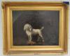 Georges Stubbs 1724-1806  poodle