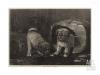 Horatio-Henri Couldery  1832-1918