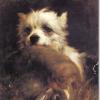 Thomas Earl a terrier with a rabbit