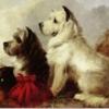 Thomas Earl terriers