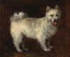 Thomas Gainsborough    Spitz dog   1765