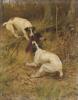 Thomas  Blinks  Terriers fighting