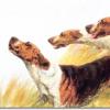 Three foxhounds  by Maud Earl