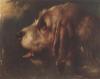 Walter Hunt 1861-1941  A head of a hound